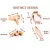 Caliber Gourmet Cookie Cutters 4pk, 2 image